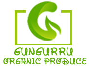 gungurrus logo